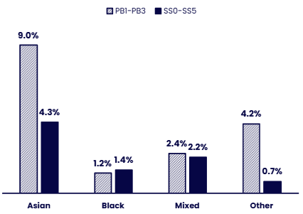 Clustered bar chart showing the representation of racially minoritised ethnic subgroups at senior level by grade group. Details in the data table available after this graphic.