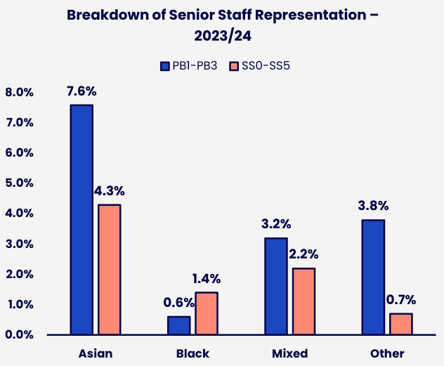 Grouped bar chart showing the representation of Asian, Black, Mixed and Other ethnic subgroups at senior level across the senior grade groups. Details in the data table available after this graphic.