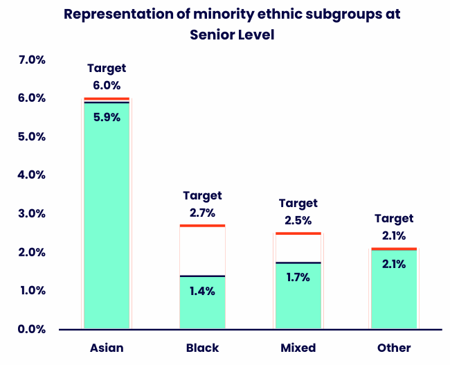 Bar chart showing the representation of four minority ethnic subgroups at senior level, with a target marker displayed for each subgroup. Details in the data table available after this graphic.