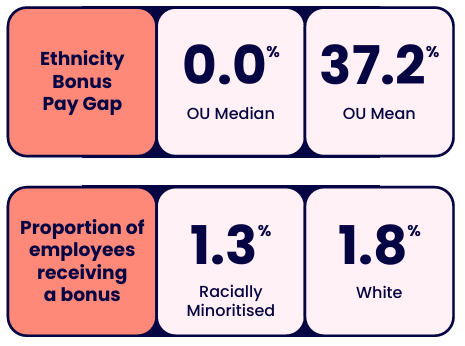 Graphic showing ethnicity bonus pay gap and bonus participation figures. A summary is below.