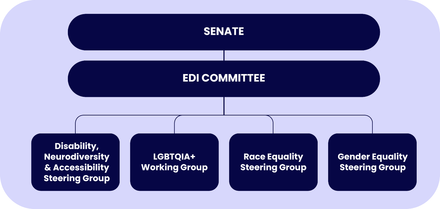 Diagram showing the current EDI governance structure. Senate sits at the top, connected to the EDI Committee below. The EDI Committee connects to four groups: the Disability, Neurodiversity and Accessibility Steering Group; the LGBTQIA+ Working Group; the Race Equality Steering Group; and the Gender Equality Steering Group.