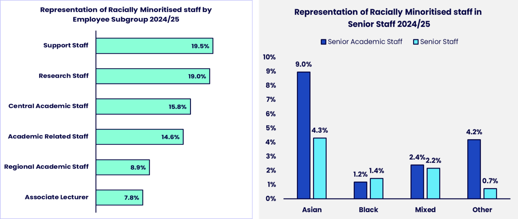 Two graphs showing the representation of racially minoritised staff in 2024/25. Details in the data table available after this graphic.