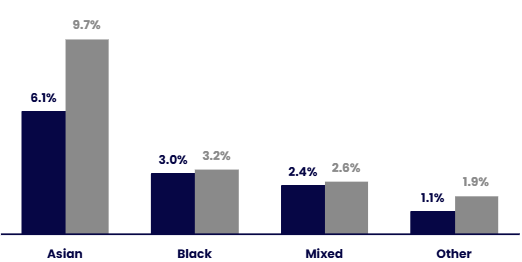 Bar chart comparing the representation of minority ethnic subgroups in the organisation (dark blue) with the HESA benchmark (grey). Details in the data table available after this graphic.
