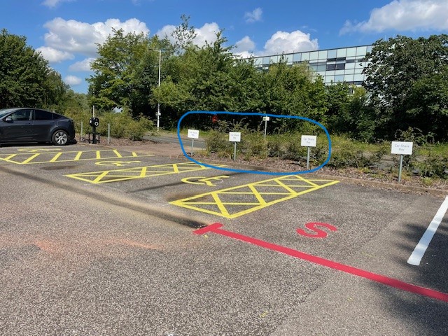 Disabled parking bays, with blue circle around the car share bay signs being removed