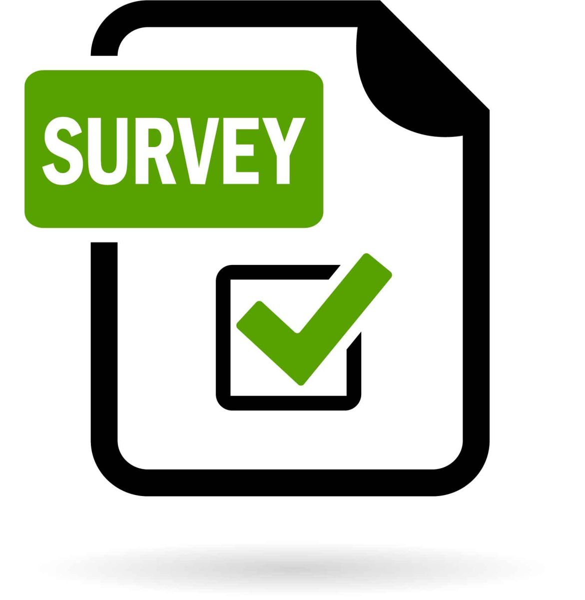 Survey icon