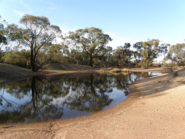 Greenfleet Australia image