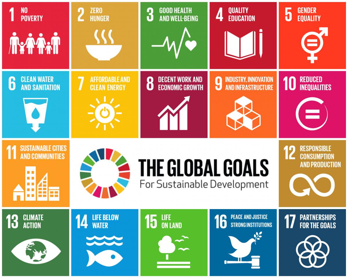 The 17 Sustainable Development Goals