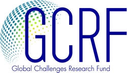 Global Challenges Research Fund logo