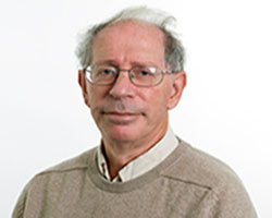 Raphael Kaplinsky image