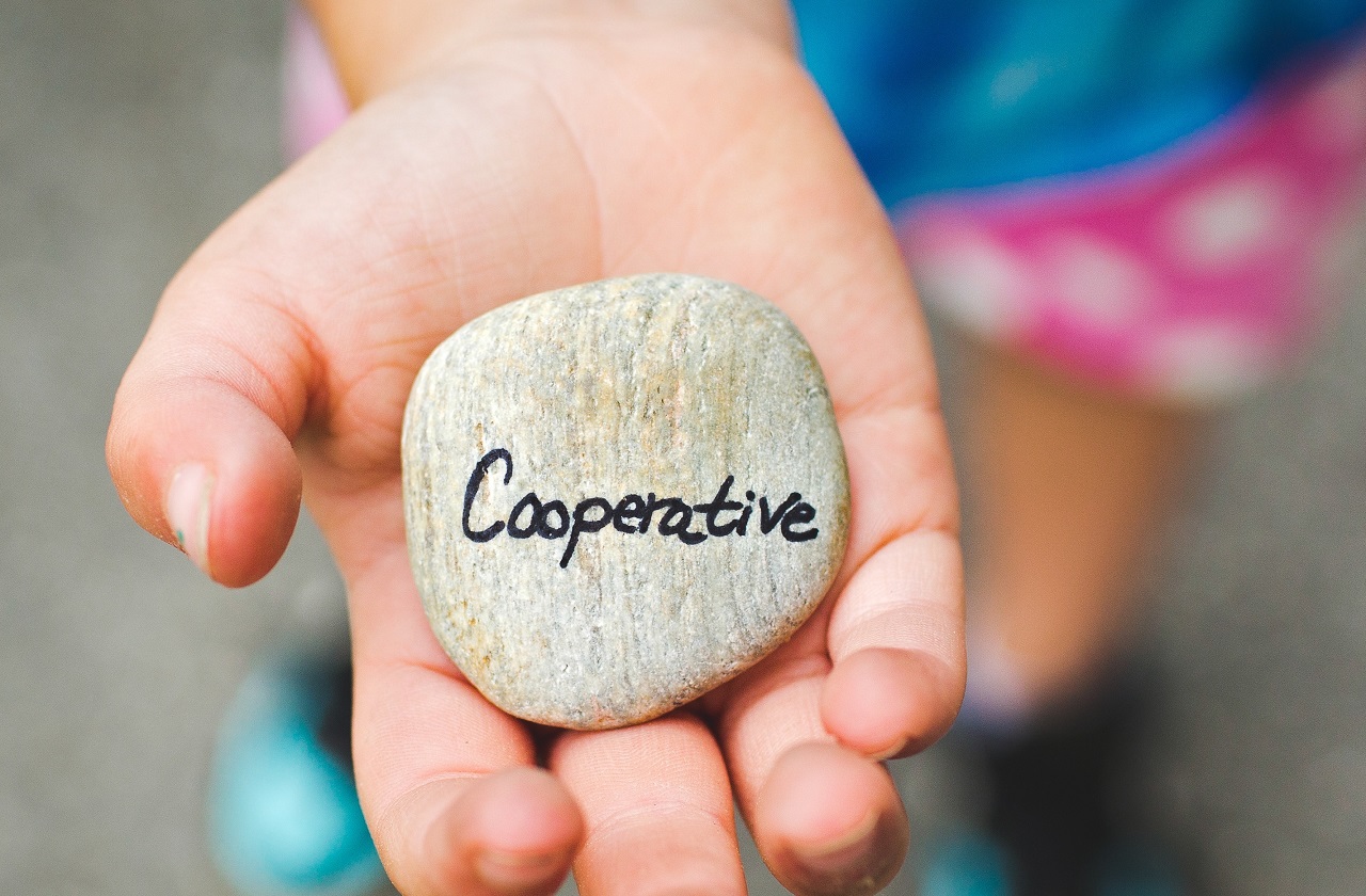 A hand holding a stone, with text Cooperative on it