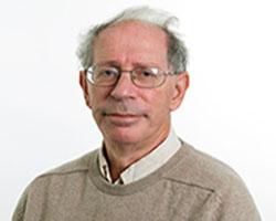 Raphael Kaplinsky image