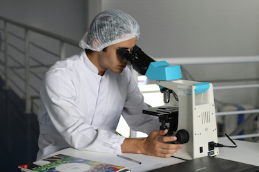 A researcher at his station, using a microscope