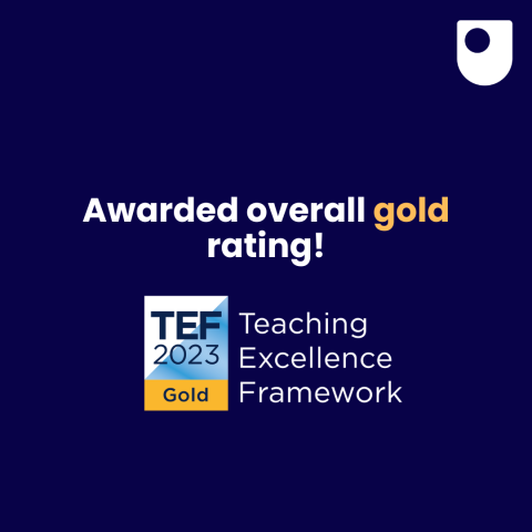 a navy graphic that has the words 'awarded overall gold rating! Teaching excellence frameowrk'