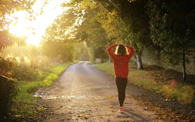 Someone in a red coat walking down a country lane