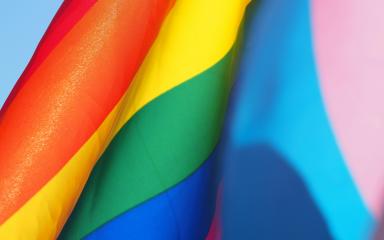 Colours of the Pride Progress flag