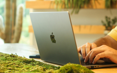 Person typing on an open laptop surrounded by plants and green life