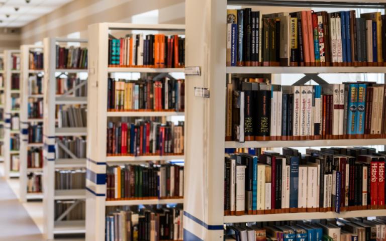 Rows of shelving containing many books