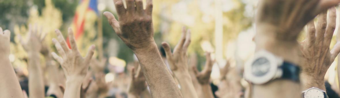 Hands raised in the air at a protest