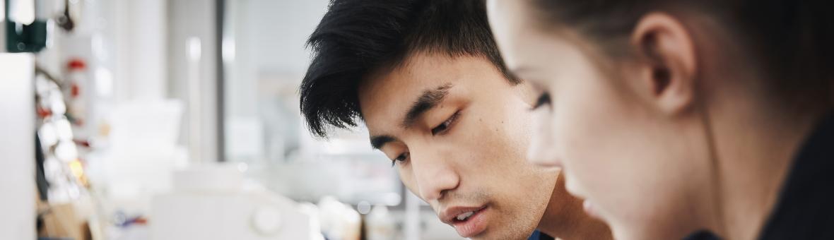 Two students working together