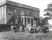 Black and white photograph of Walton Hall from the 50s/60s. The man standing behind the cows to the left is Brigadier Eric Earle who owned the estate until his death in 1965. The man on the right is the Earles' farm manager, Mr. Brown.