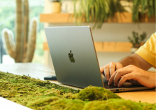 Person typing on an open laptop surrounded by plants and green life