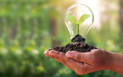 A lightbulb standing upright on a mound of soil, in the lightbulb a green plant. The soil and plant are being help in the palm of someone's hand of to the right of the image. is sprouting.