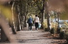 Two people walking down a path under the cover of trees
