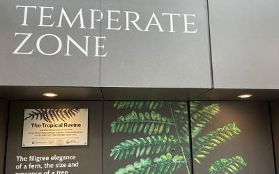 a picture of the temperate zone sign in The Tropical Ravine in Belfast