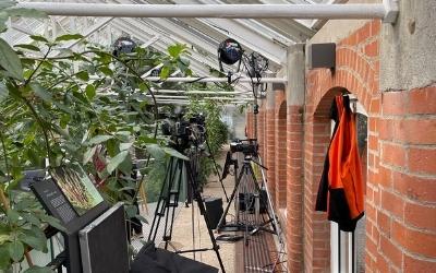 a picture of camera equipment set up in the Tropical Ravine in Befast