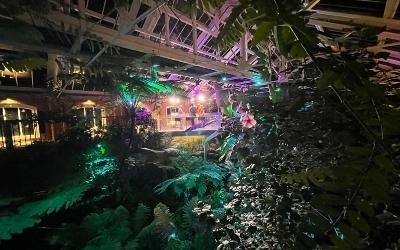 A picture of The Tropical Ravine inside at night