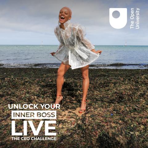 a model poses on a pebble beach in a fancy silver dress. the image has the words 'Unlock your inner boss Live the CEO challenge'