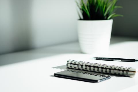a notebook and mobile phone sit on a desk with a plat in the background