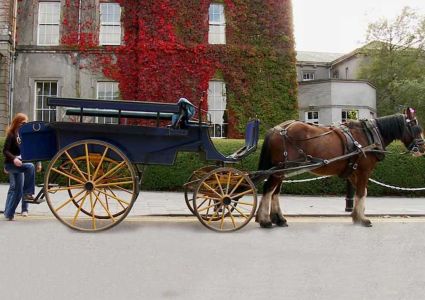 A ride in a Jaunting Car