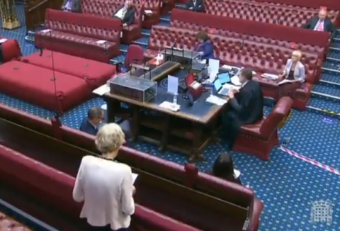 Julia Cumberledge calling for justice (screenshot). Photo Credit: APPG Horomone Pregnancy Tests (@APPGHPTs Twitter) Posted: 2 Sept 2020 