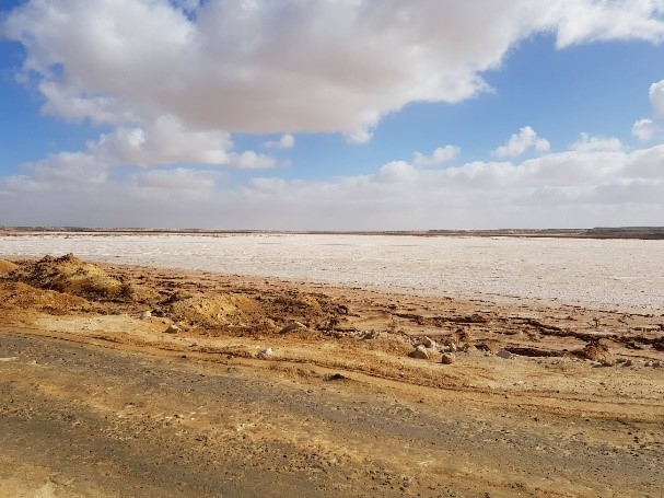 Western Saharan salt flats