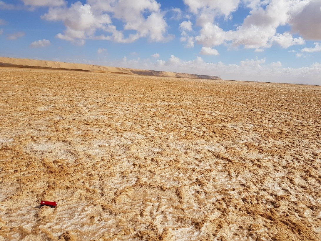 Western Saharan salt flats