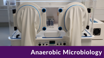 Anaerobic