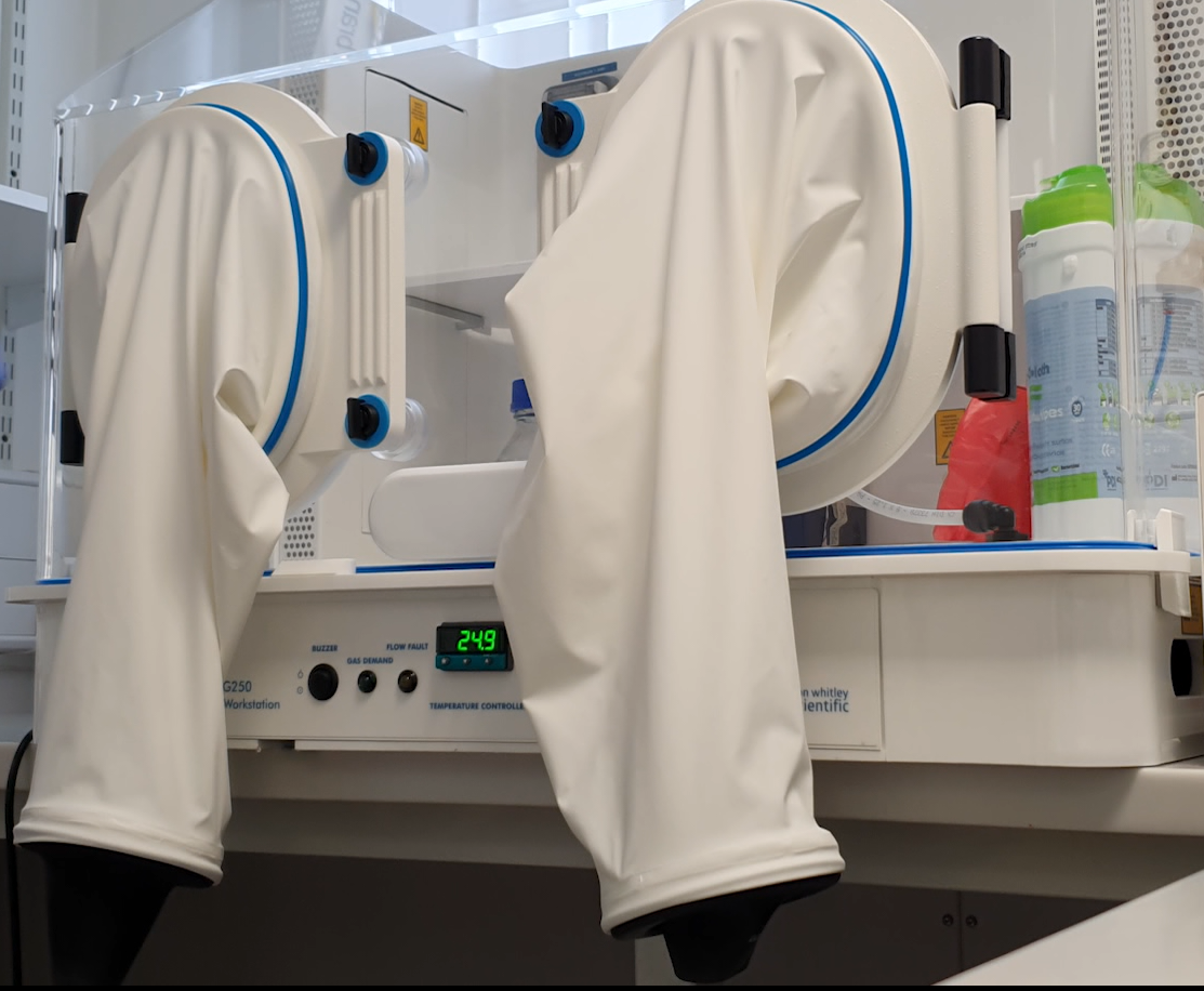 AstrobiologyOU Anaerobic Chambers