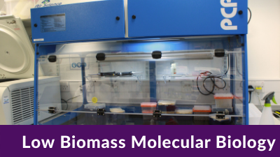 Low Biomass