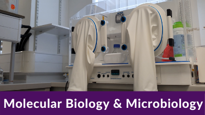 Molecular and Micro Biology