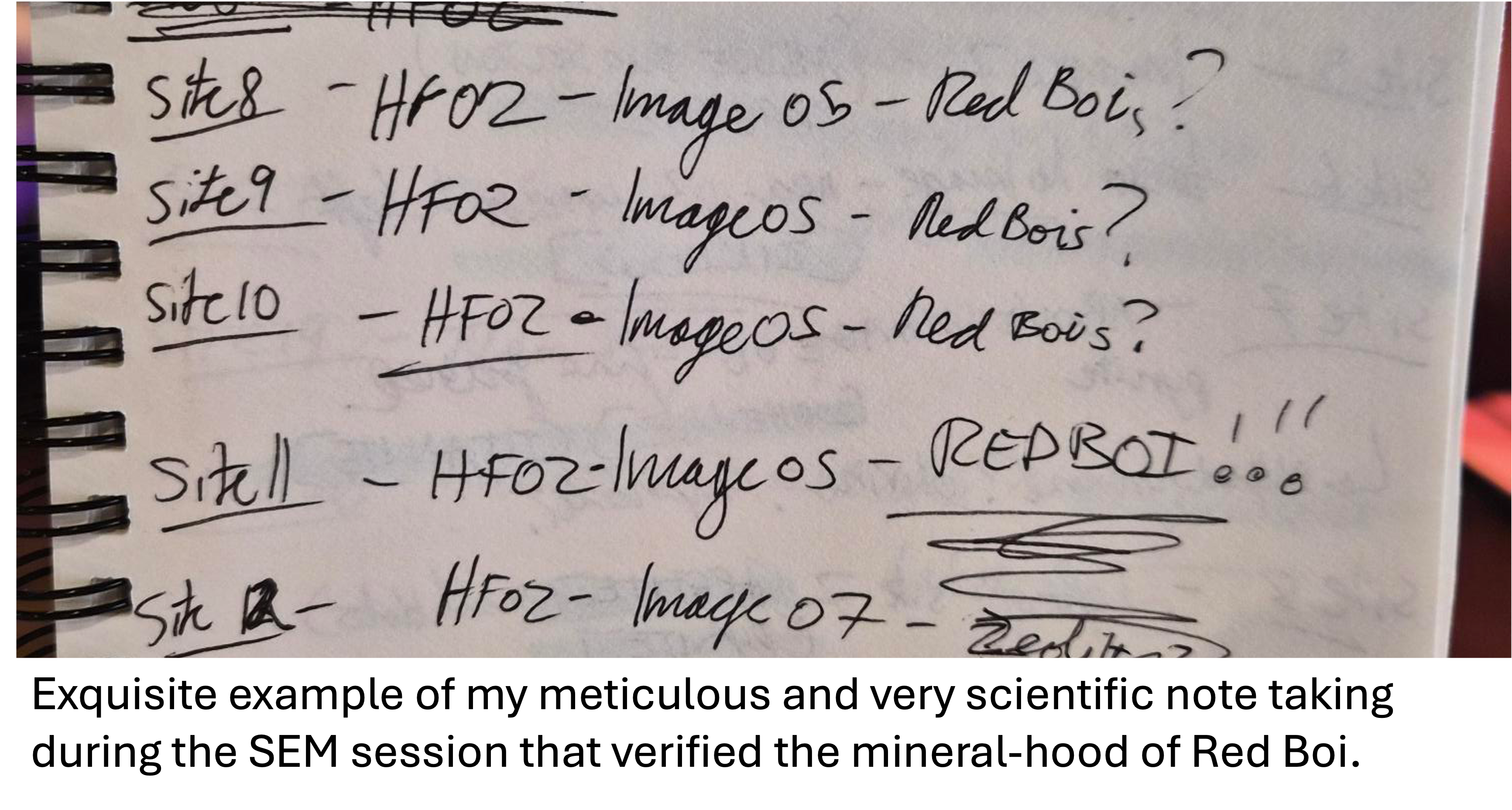 A note book showing the finding of "Red Boi"