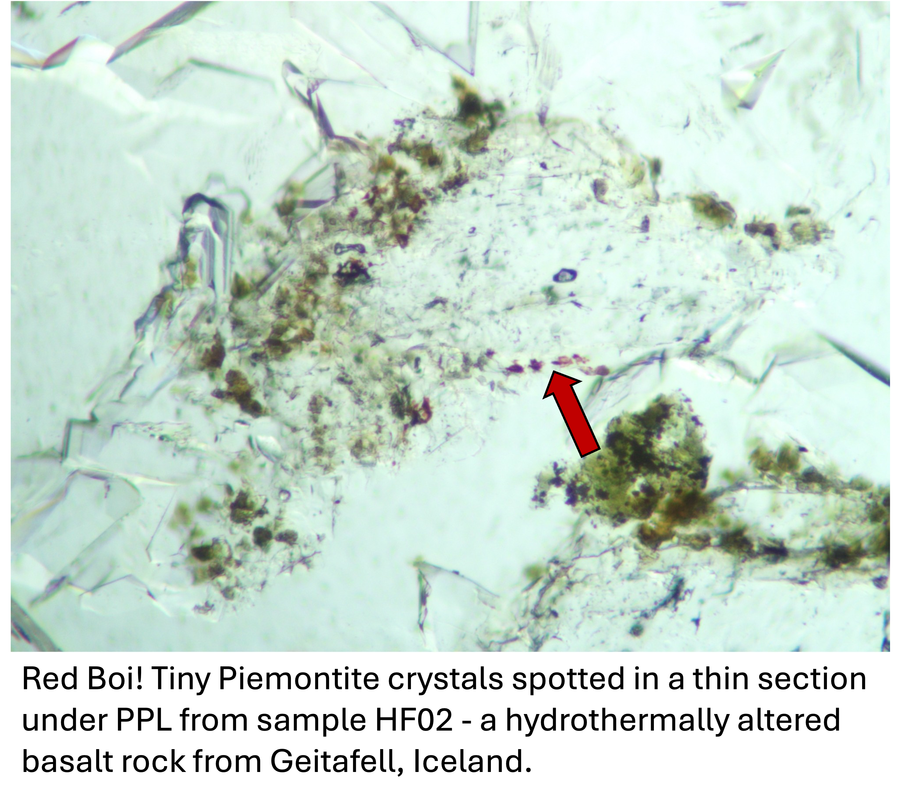 A thin section showing "Red Boi"