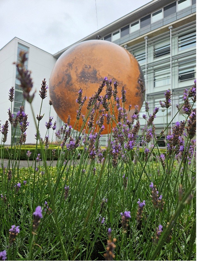 A large globe of Mars in front of a building with many glass windows with a cloudy sky behind with a sculpted hedges below and greenery in the foreground