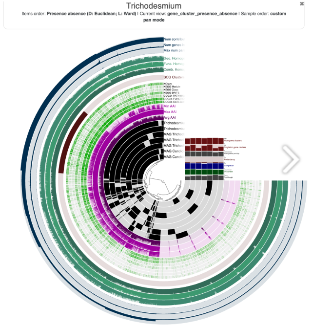 Pangenomic analysis visualisation using the anvi’o  interactive interface
