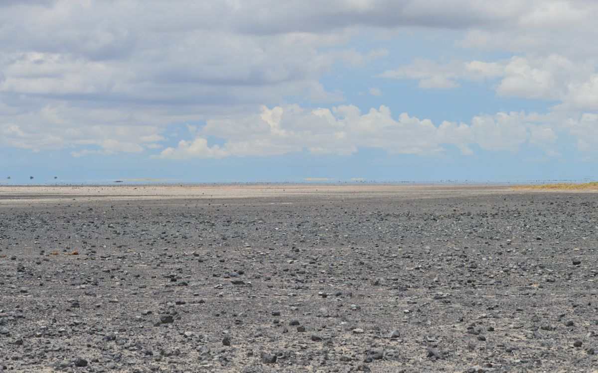 A rocky desert scene