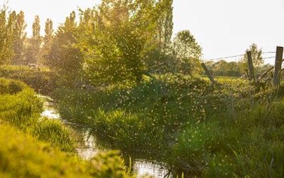 New research to tackle Malaria