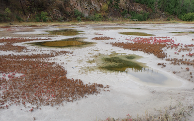 Sulphate lakes