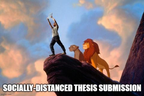 Two cartoon lions on a precipice, in front of them is a man holding up a thesis