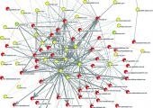 Webometrics