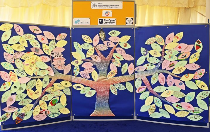 Art in the Park tree of life final